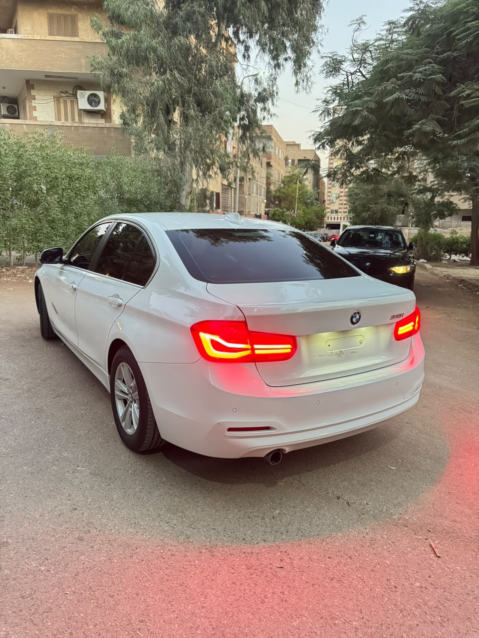 صورة 6